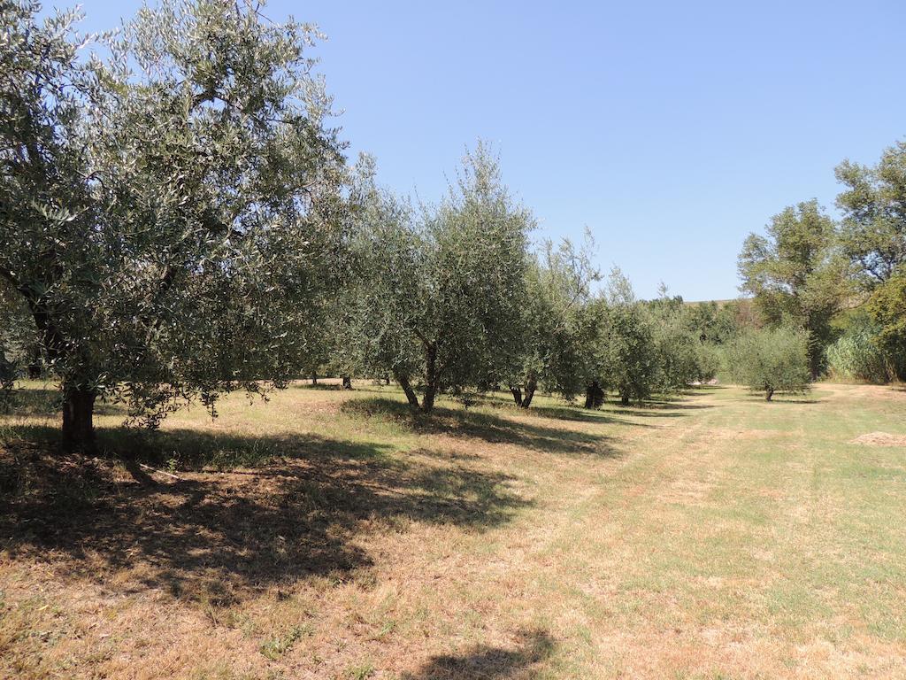 Pieve di Santa Luce Podere Il Mulino מראה חיצוני תמונה
